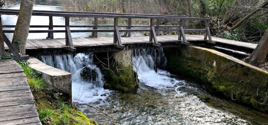 Bridge